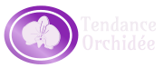 Tendance Orchidée