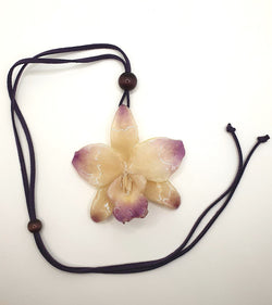 Orchidée 