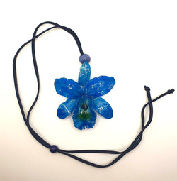 Orchidée 