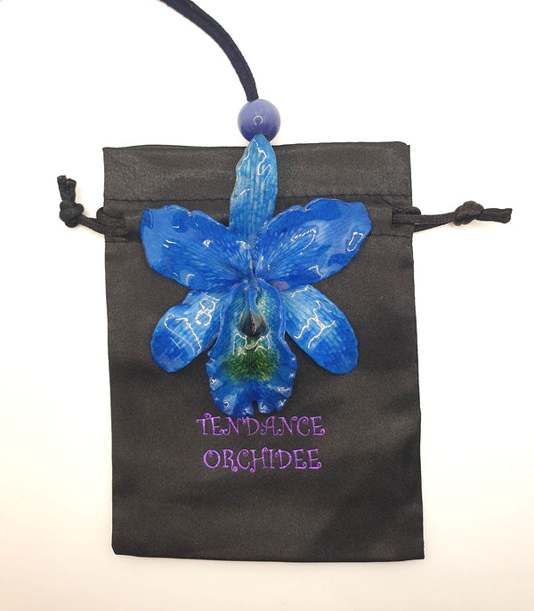 Orchidée 
