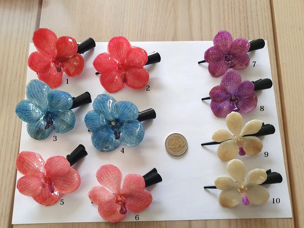 Lot de pinces à cheveux