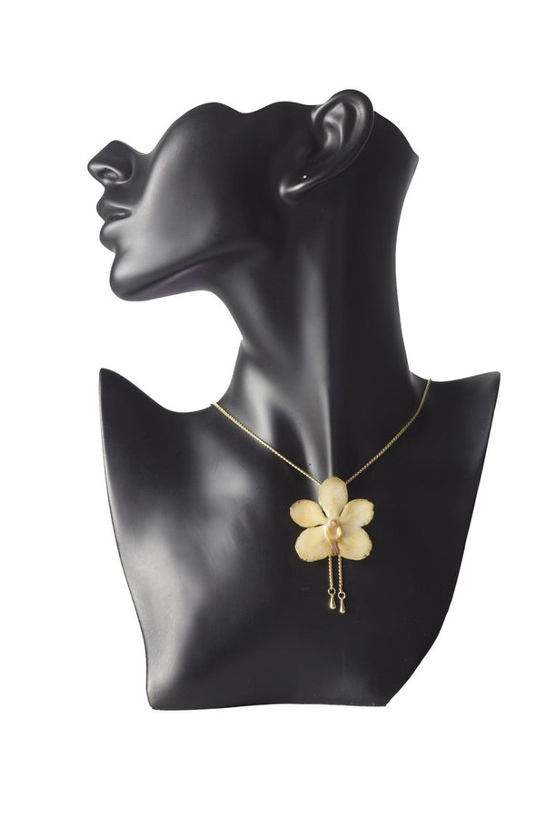 Orchidée 