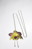 Collier plaqué argent "Orchidée Naturelle"
