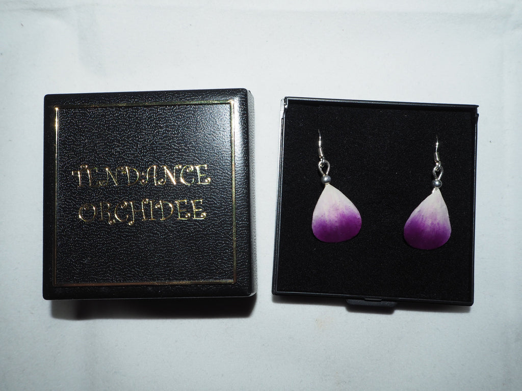 Boucles d'oreilles Argent