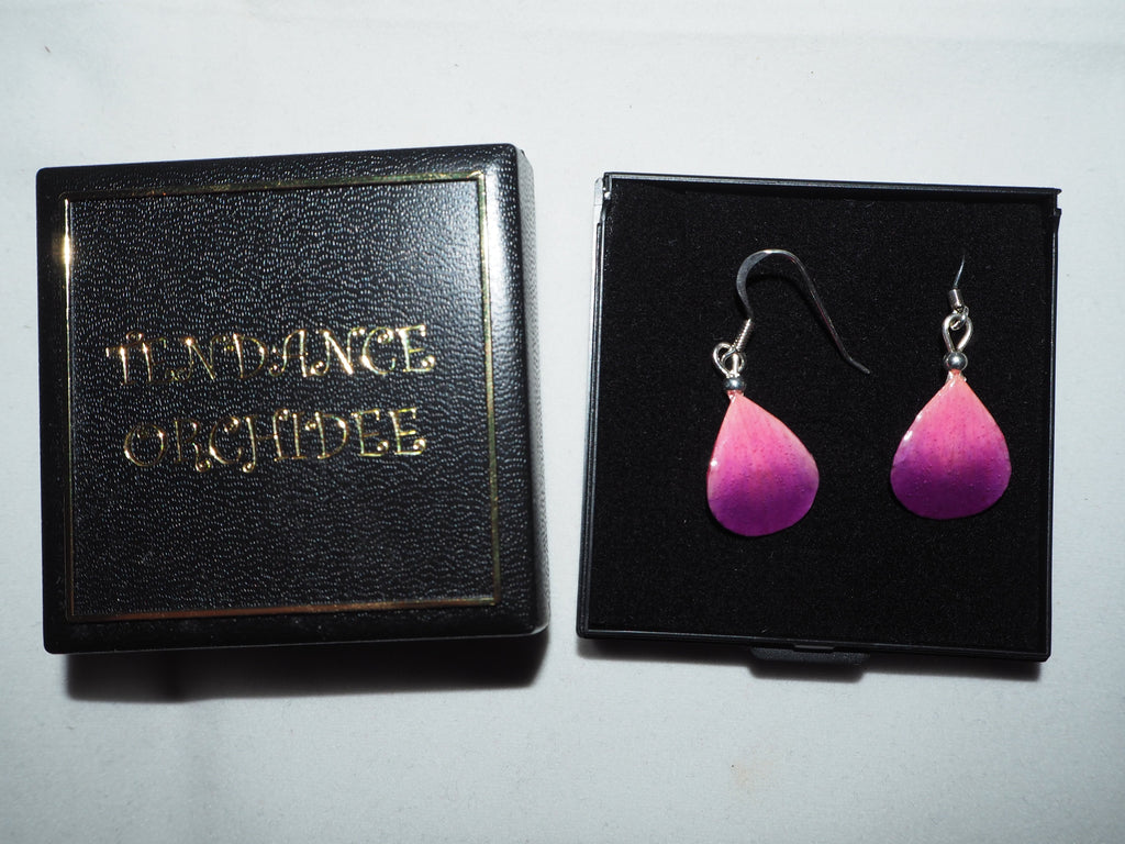 Boucles d'oreilles Argent