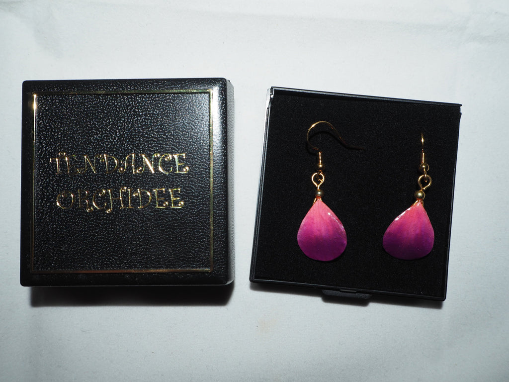 Boucles d'oreilles Plaquées or