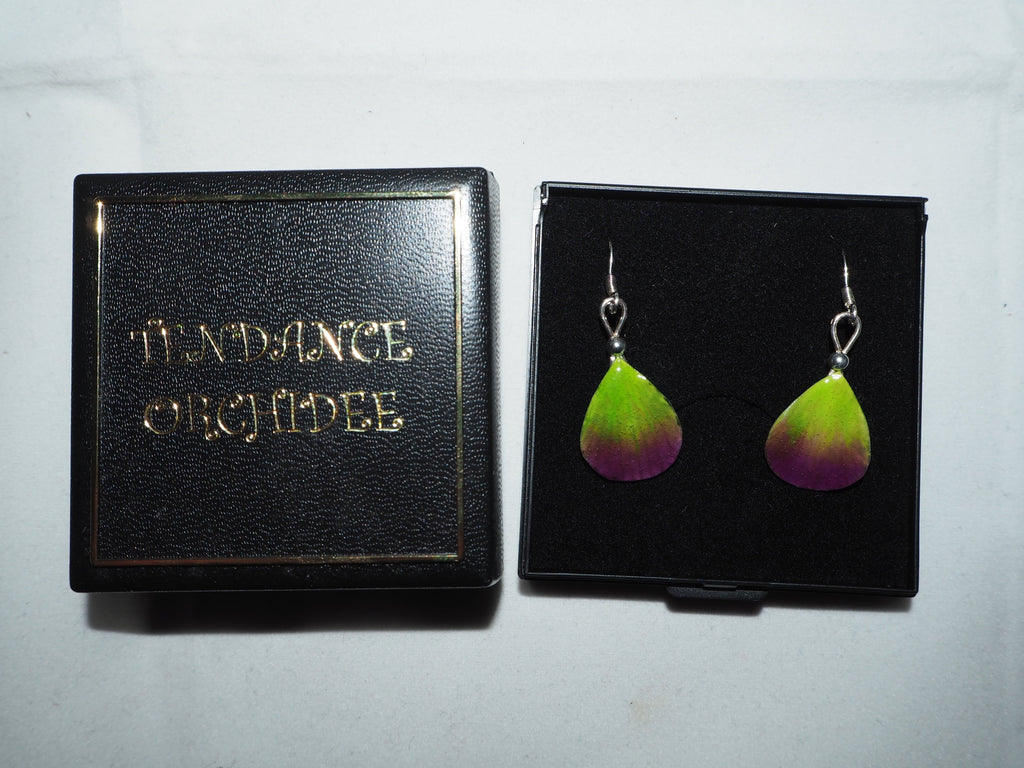 Boucles d'oreilles Argent