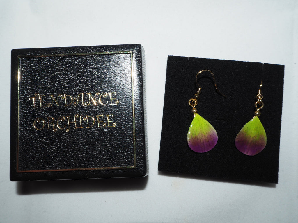 Boucles d'oreilles Plaquées or
