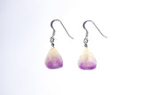 Boucles d'oreilles Argent
