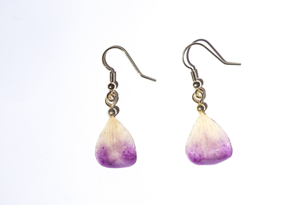 Boucles d'oreilles Plaquées or