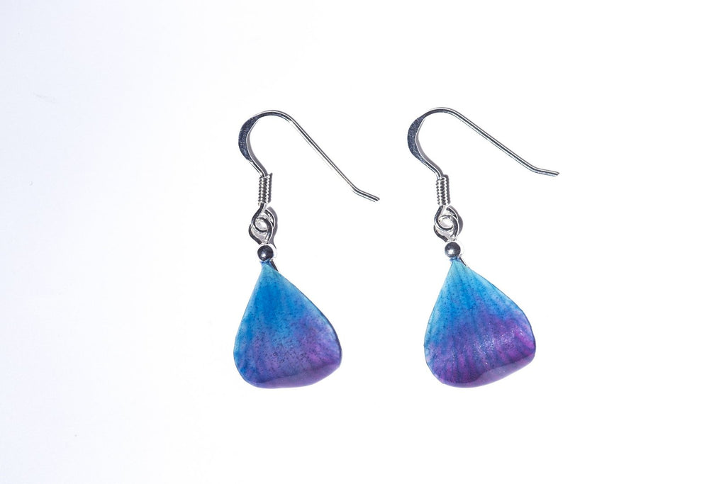 Boucles d'oreilles Argent