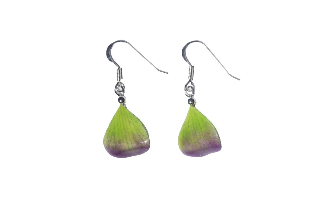 Boucles d'oreilles Argent