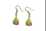 Boucles d'oreilles Plaquées or