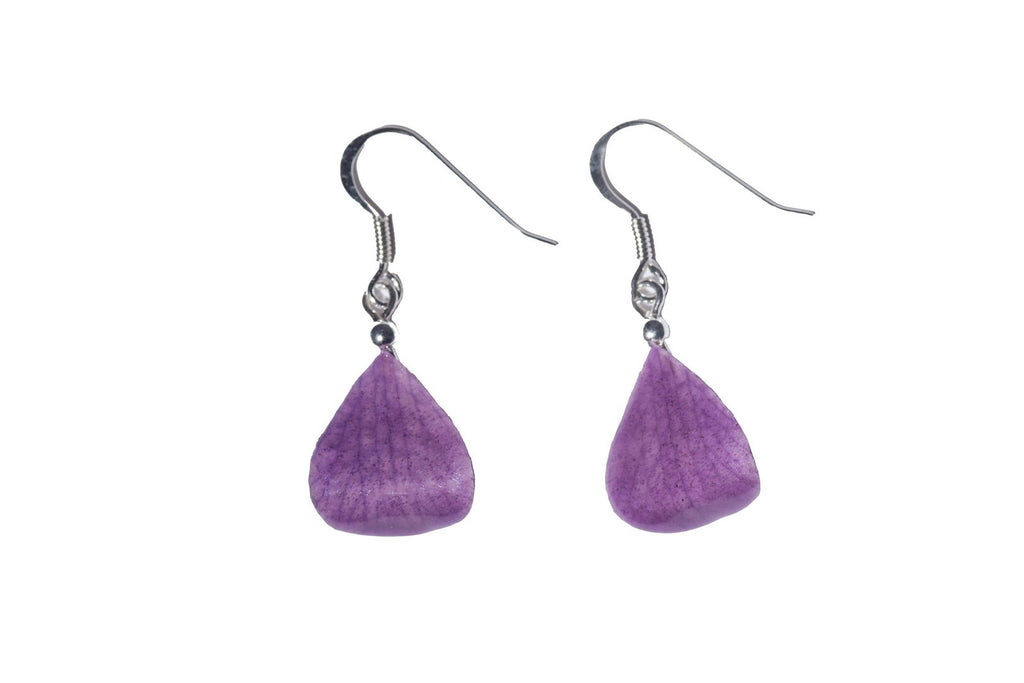 Boucles d'oreilles Argent