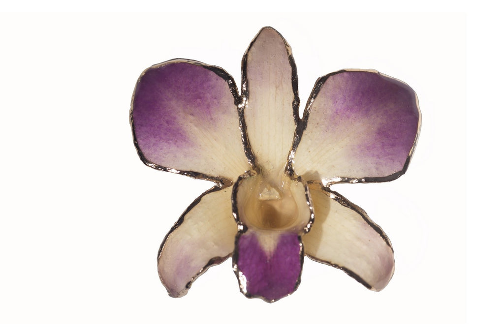 Une broche orchidée par Tiffan... | Gazette Drouot Une broche orchidée par Tiffan... | Gazette Drouot