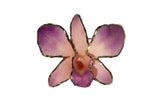 Broche Orchidée "Dendrobium"