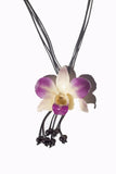 Cordon "Orchidée Naturelle Dendrobium"
