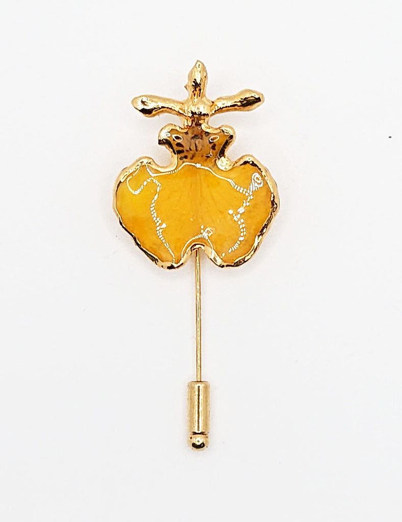 Broche Oncidium contour plaqué or