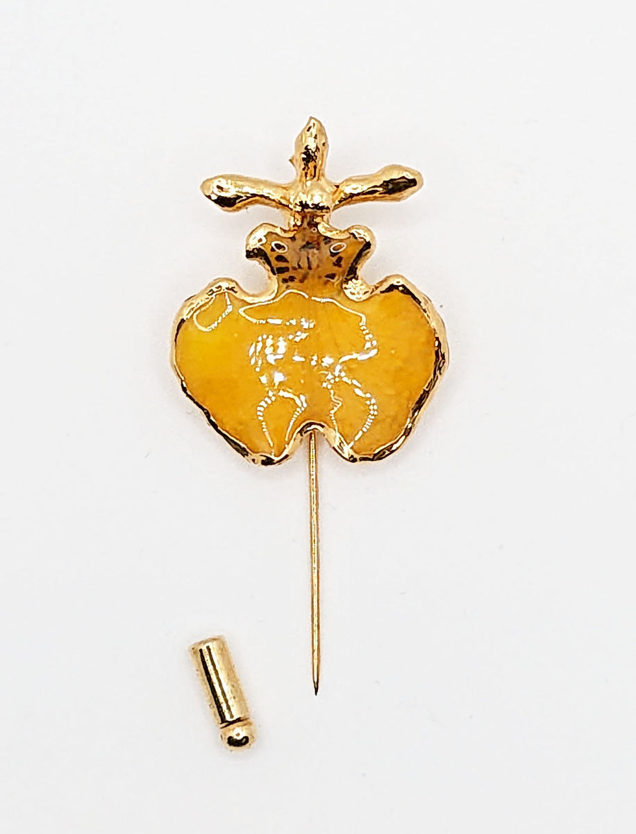 Broche Oncidium contour plaqué or