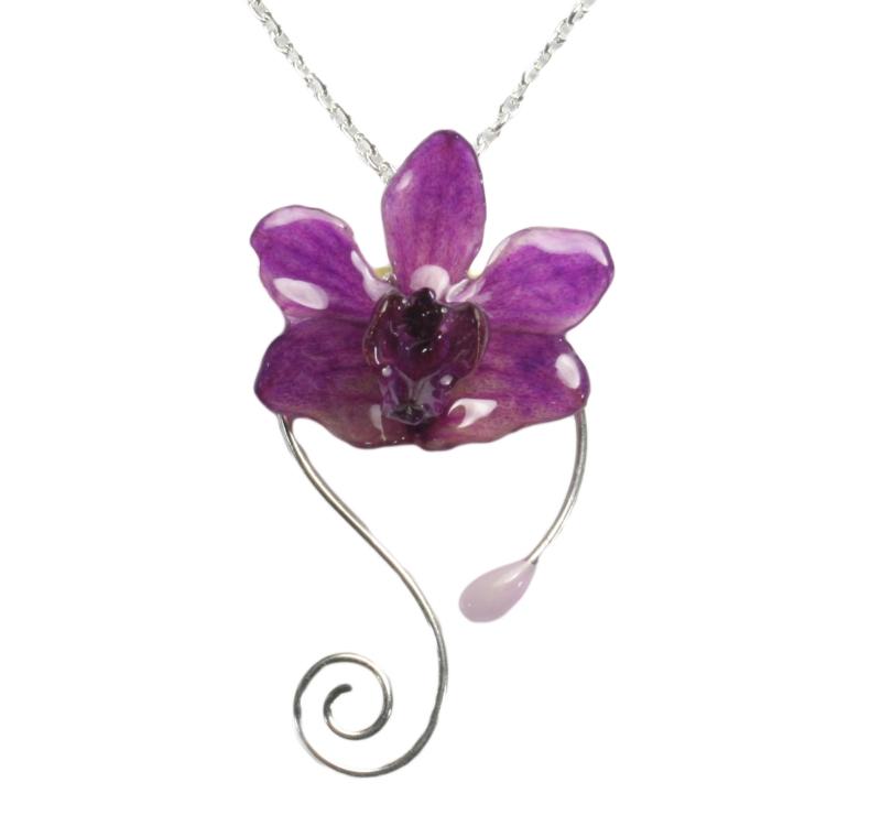 "Doritis" Argent - Fleur à l'endroit